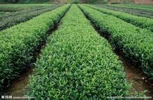贵州京鸣新型肥料开发有限公司