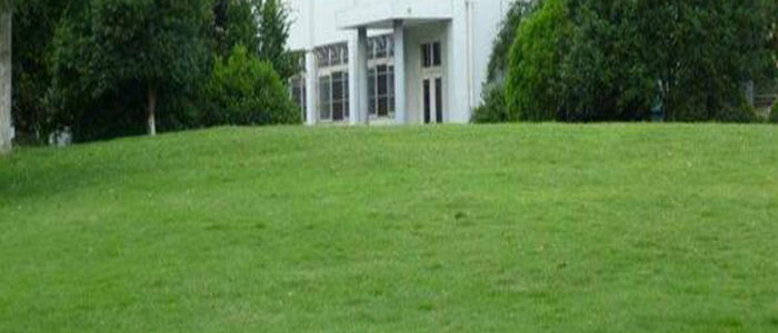 云南台湾二号草皮种植基地 客户至上「悠时光园艺供应」