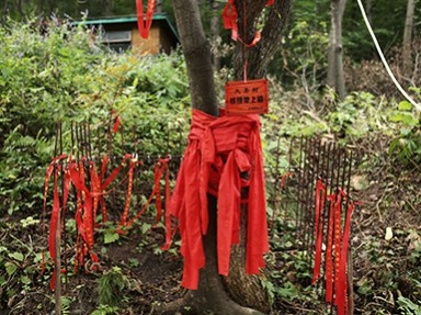 吉林避暑度假山庄 