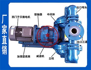 DBY不锈钢电动隔膜泵