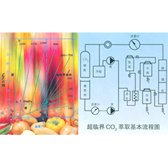 湖州品牌超临界反应装置,超临界反应装置,浙江优质岩心夹持器品牌企业,嘉兴石油仪器生产厂家