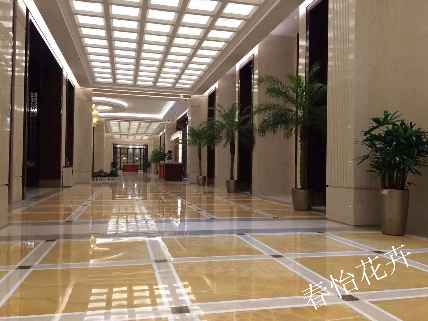 舒兰绿植租摆详情,绿植租摆,蛟河办公室绿植租摆多少钱,长岭公司绿植租摆推荐,南关区专业绿植租摆报价,双阳区公司绿植租摆哪家好