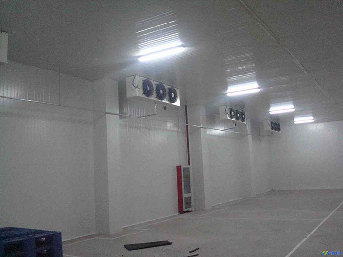 仙桃做医疗冷库设计 珩冰供应