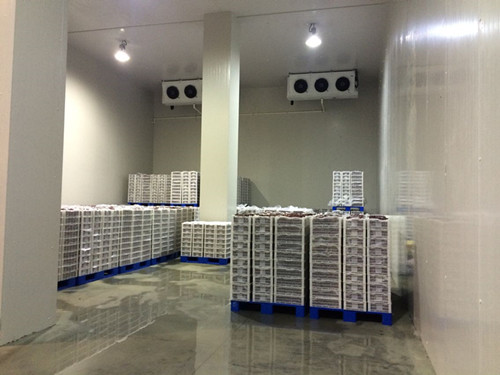 厦门水产冷库建造 冷通供应
