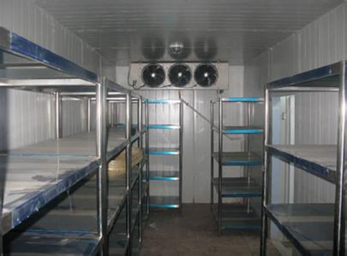 保鲜冷库安装公司 冷通供应