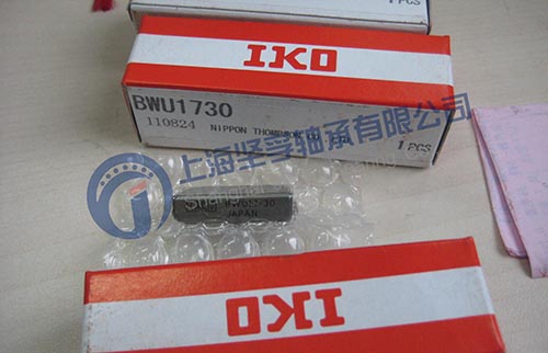 IKO轴承WS1024 坚孚供应