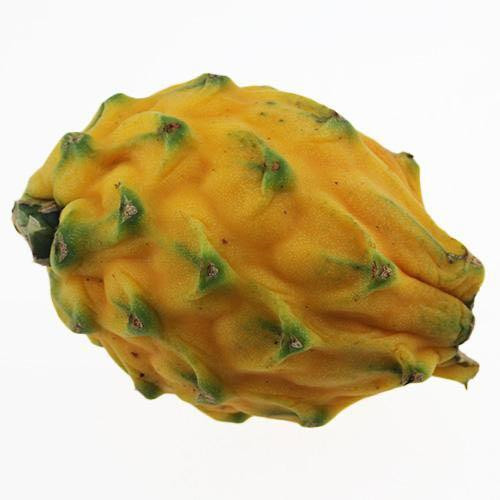 黄皮火龙果种苗种植技术