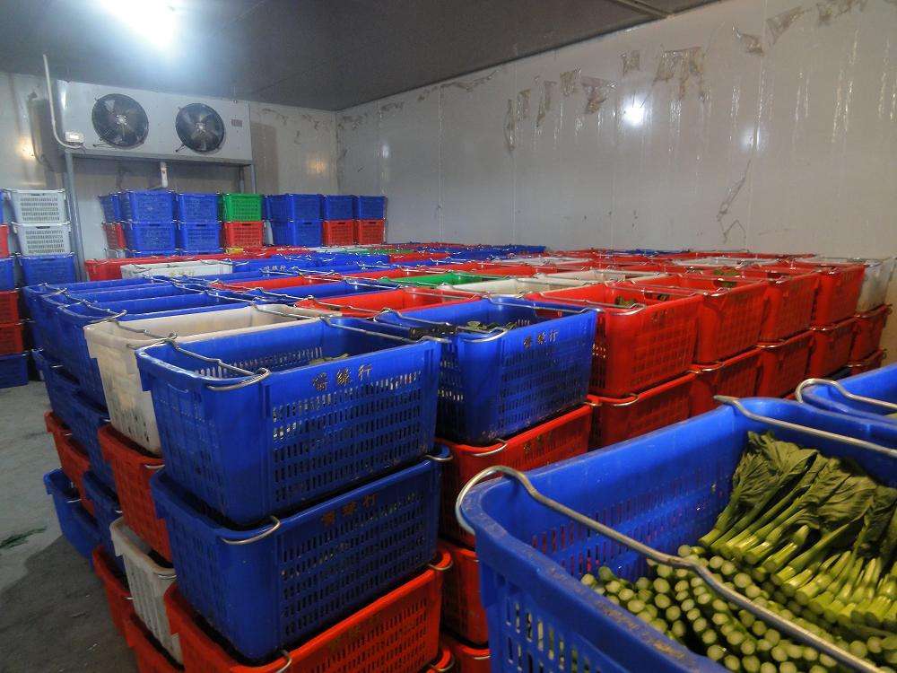 厦门冰冻库安装 冷通供应