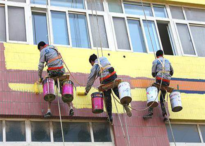 德州净味墙面漆供应,漆