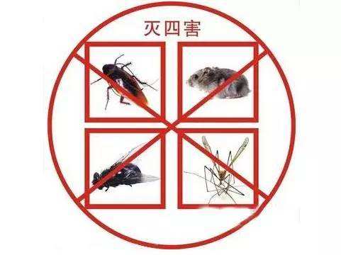 三门峡**灭蝇服务 北京鹏辉生物科技供应