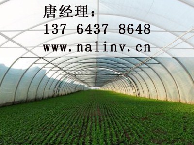 纳琳威纳米科技（上海）有限公司