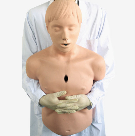 ***成人气道梗塞及CPR模型.png