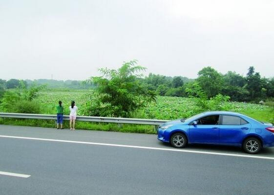 深圳市車(chē)天地汽車(chē)貿(mào)易有限公司_平行進(jìn)口車(chē)_美規(guī)車(chē)