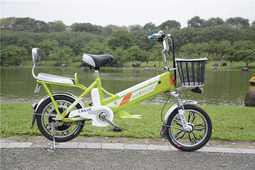 吉林锂电池电动自行车