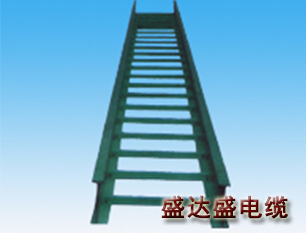 梯式桥架2.jpg