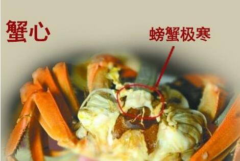 蟹胃:躲在蟹黄里的三角包,内有蟹的排泄物.隐藏在蟹盖上的蟹黄堆里.