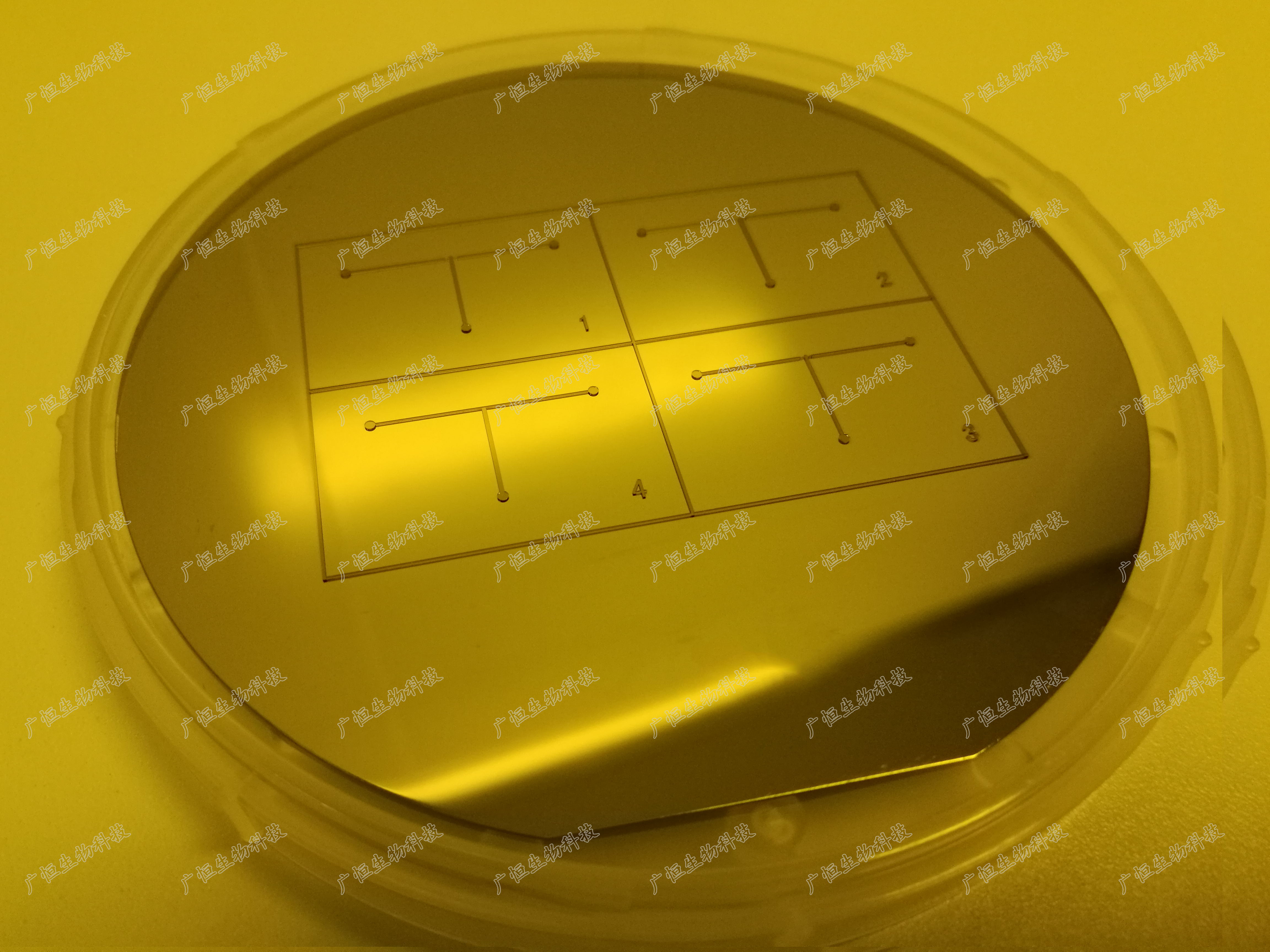 SU-8硅片模具_看图王.jpg