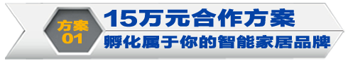 15万元方案，孵属于你的智能家居品牌