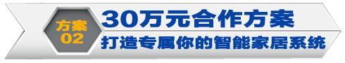 30万元方案-打造专属于你的品牌智能家居系统