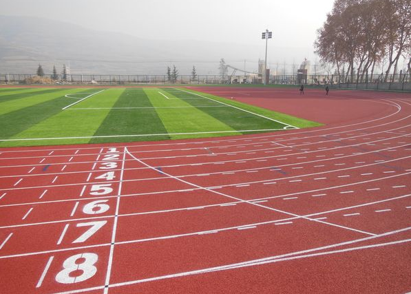 4、甘肃林业职业技术学院400米透气型塑胶跑道铺设工程.JPG