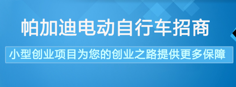 帕加迪電動自行車招商