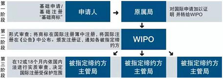 馬德里商標(biāo)注冊(cè)體系運(yùn)作三個(gè)階段.jpg