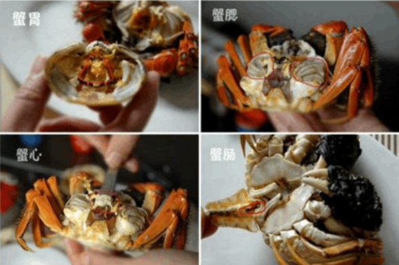 螃蟹怎么吃