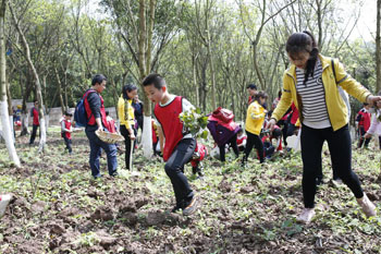 森林自然教育，是学前教育新趋势6.jpg