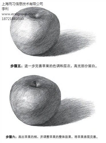 上海成人绘画培训_上海美术培训学校_上海成人美术培训