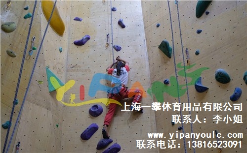 上海一攀游乐设备有限公司