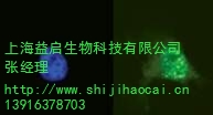 上海益启生物科技有限公司