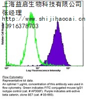 BETA-CATENIN抗体 BETA-CATENIN抗体** BETA-CATENIN抗体供应 益启供