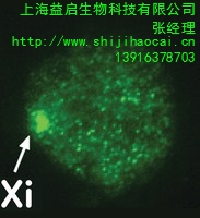 上海益启生物科技有限公司