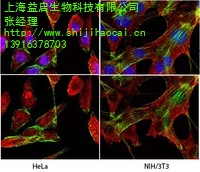 上海益启生物科技有限公司